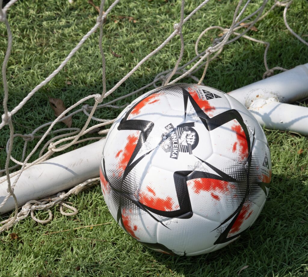 Sannleika FIFA quality soccer ball