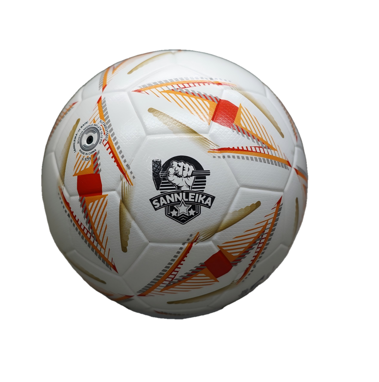 DSC09001(1) Sannleika professional league football