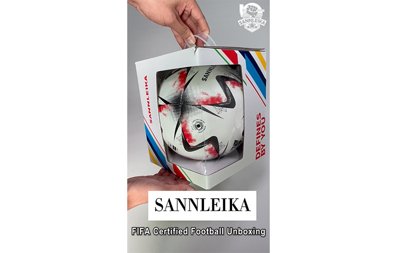 sannleika FIFA football