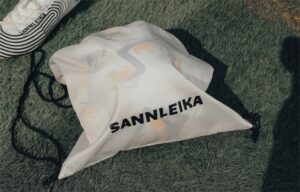 premier league machine-stitched footballs